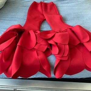 Red bell bottom pants